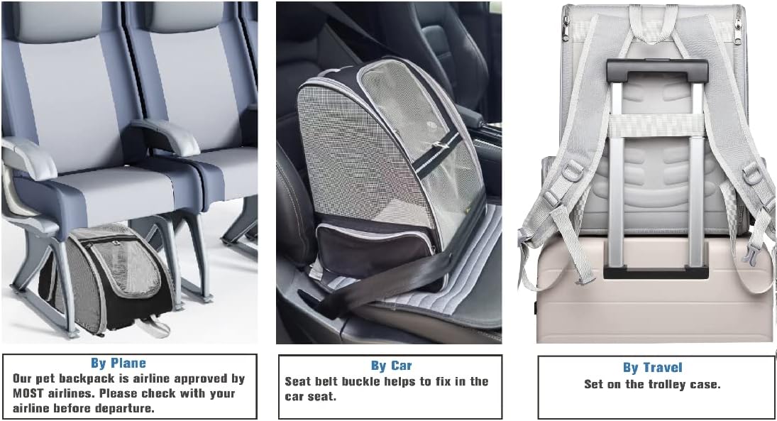 Sac de Transport Innovant avec Fenêtre Bulle – Noir